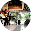 Bradercarl Merah