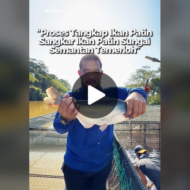 Pendapat tentang 55 PATIN VILLAGE 1 Ulasan 55 PATIN VILLAGE: Menu Ikan Patin & Suasana Restoran Mewah